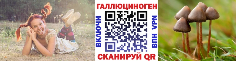 Псилоцибиновые грибы мухоморы Свирск